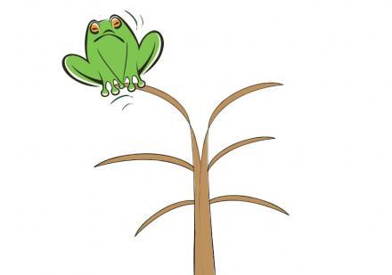 博士蛙盲目扩张恶果：拖欠员工薪酬 财务堪忧