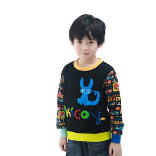 帕菲童装儿童纯棉毛巾绣印花长袖卫衣