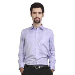 ARROW美国箭牌 2014春季新款男装男士蓝色紫色商务条纹长袖衬衫