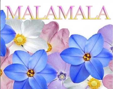 malamala玛拉玛拉前卫彩布鞋—让艺术在足底生花