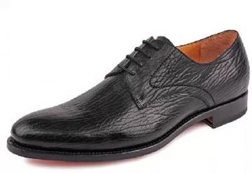 经典黑色鲨鱼皮—阿布顿新款介绍