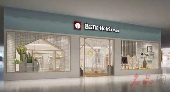 破茧化蝶—“甲虫屋”的美丽蜕变