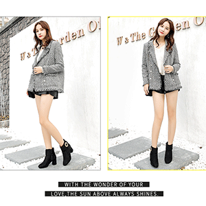 冬季新款欧美高跟粗跟侧拉链靴子女鞋