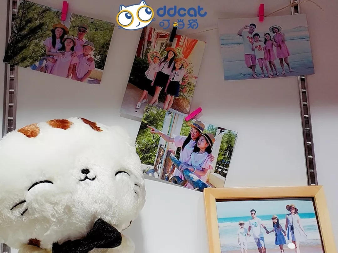 1526868541620006.gif 01.gif