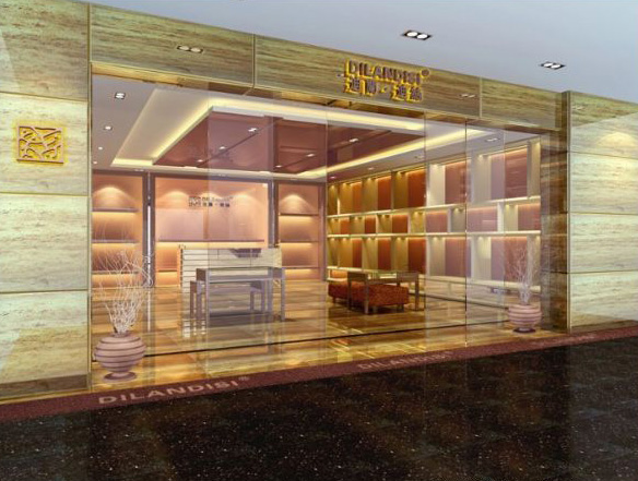 迪兰迪丝终端形象图