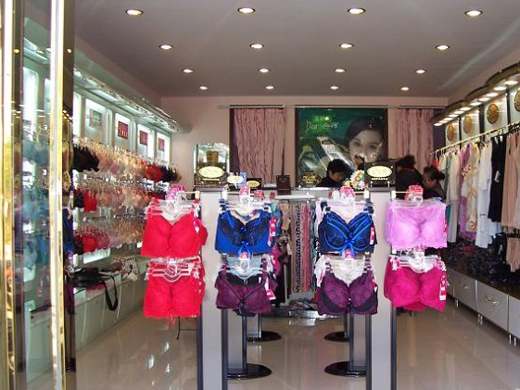 贵夫人形象终端展示