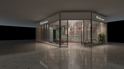 樱子亮金女装店铺展示