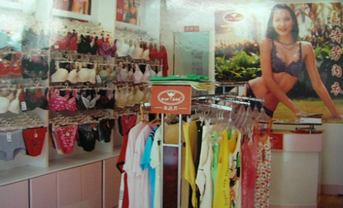 嘉诗芳内衣加盟店铺形象图