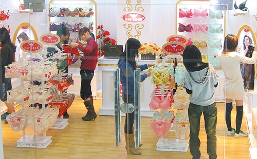 嘉诗芳内衣加盟店铺形象图