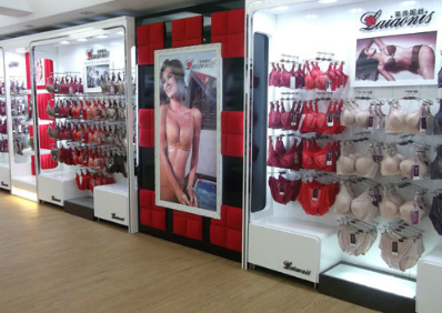 莱澳妮丝终端形象图