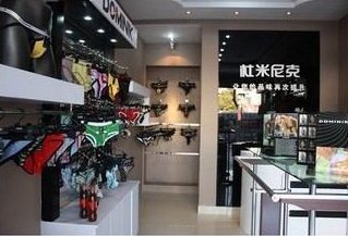 杜米尼克终端形象图