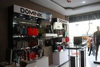 杜米尼克终端形象图