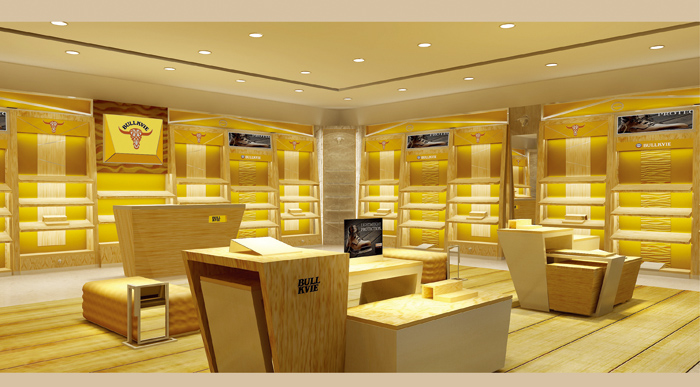 动感公牛终端形象展示