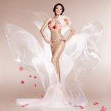 茜施尔内衣2012秋冬装女士内衣二