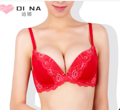 迪娜内衣进口刺绣蕾丝花边聚拢文胸U型舒适上托