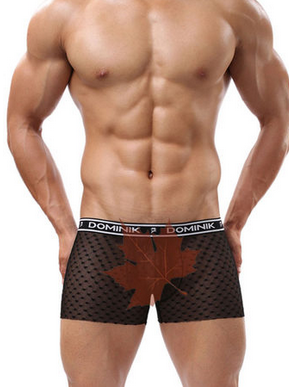 杜米尼克 男士性感内裤 超薄天丝 提花纹网眼透