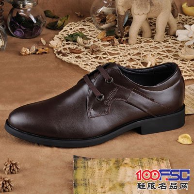 金利来男鞋2014新款头层牛皮软面皮日常休闲夏季男鞋透气英伦潮鞋