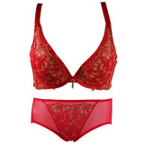 正品文胸罩WW1302中厚AB杯性感深V聚拢调整型女士内衣