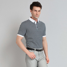 袋鼠男装2013夏男翻领双丝光棉商务休闲男士短袖T恤