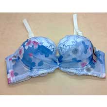 雅安莉娜1082A罩杯深V聚拢性感文胸