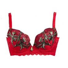 赏心聚拢厚小胸红色调整型胸罩三排扣蕾丝内衣文胸