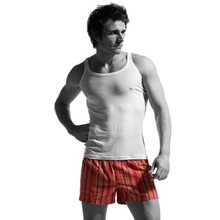 ISEEU内衣2012秋冬装男士白色背心