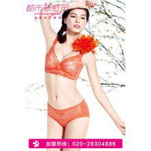 都市新感觉调整型内衣系列-446215