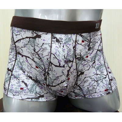 威德龙鼎尚莫代尔男士内裤