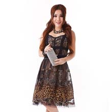 柏盈2014新款春装蕾丝性感修身连衣裙