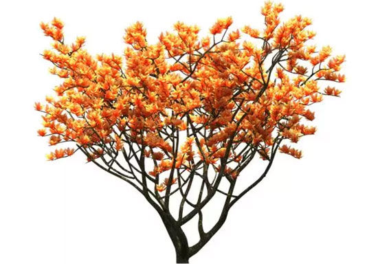 夏天穿衣有讲究 小马嘟嘟让你潮起来！