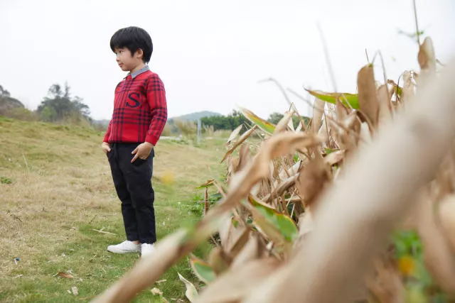 1530854854_931420125.jpg 2.jpg