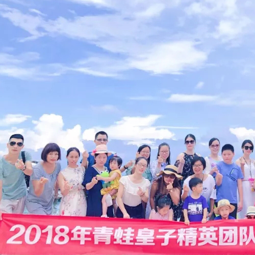 蛙动态| 这一次，与巽寮湾的海鸥做一会朋友…