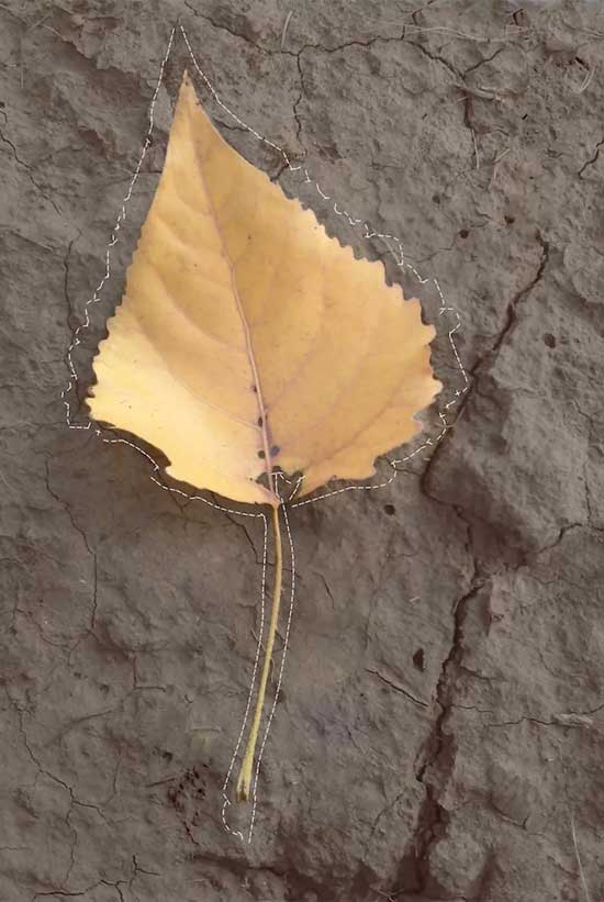 New arrival | 千葵2018秋季新品来袭
