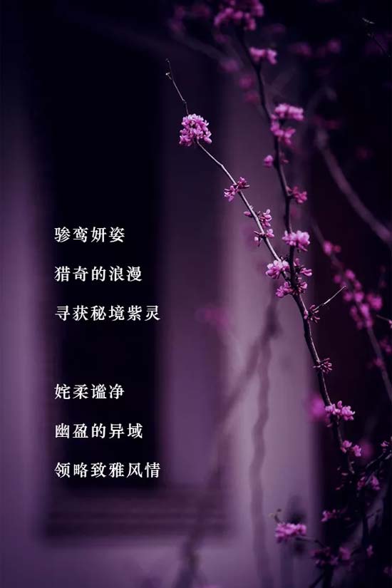 SUNMORE尚默<a href='http://news.china-ef.com/list-83-1.html' style='text-decoration:underline;' target='_blank'>品牌女装</a>“紫域、旅”