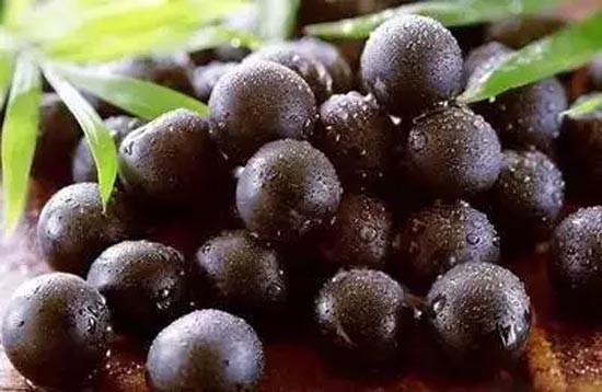 八种提升免疫力的美食 你吃过几种？