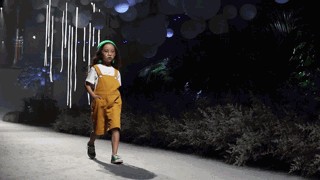 1535333634458778.jpg