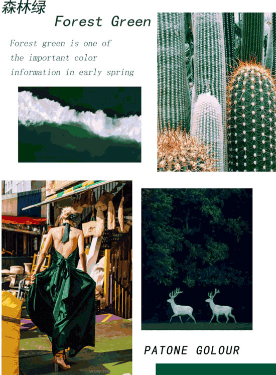 JYGUGGE古歌<a href='http://news.china-ef.com/list-107-1.html' style='text-decoration:underline;' target='_blank'>新品</a> 森林绿沉入初秋优雅时光