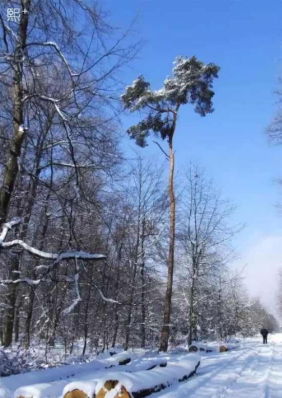 Sapgale熙+女装:晴空 深海 自由切换
