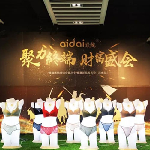 爱戴-聚力终端·财富盛会培训会暨19新品鉴赏会火爆召开