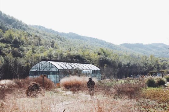飞鸟和新酒二十四节气丨你想要的自然漫生活