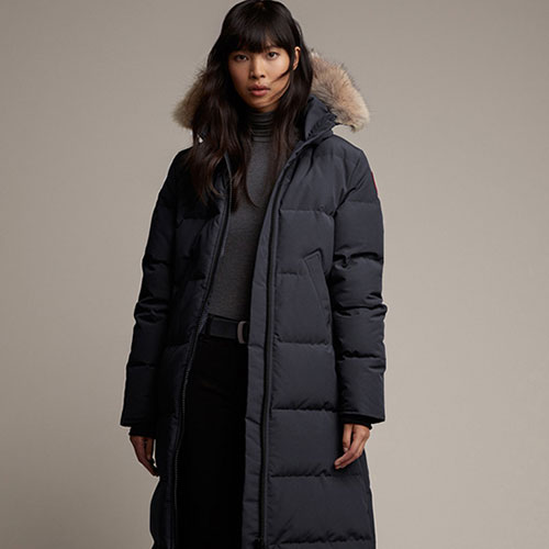 被指责虐待“金主”鹅 加拿大鹅变得不酷了 