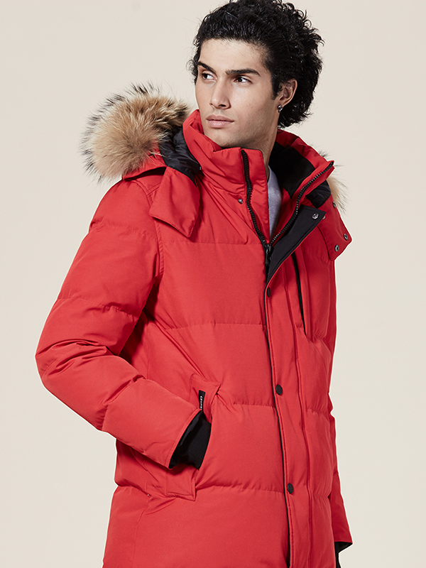 1544765110_339184816.jpg 1531821524_806663384.jpg