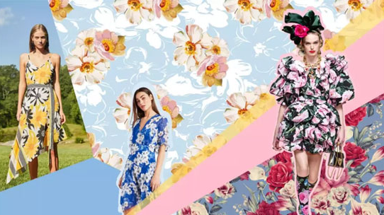 1547452201_946544124.png 1.png