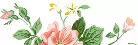 姐妹花19春夏新品丨【妆点系列】带你体验奇妙的春日浪漫之旅