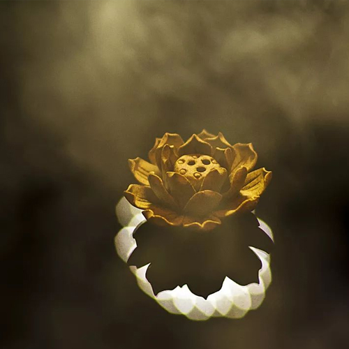 见花开SUNSHINE：七夕 | 鹊桥会