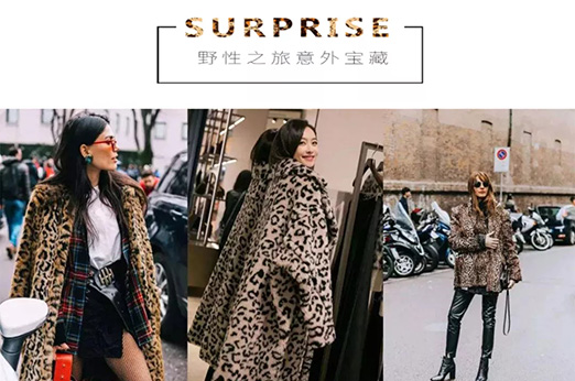 玳莎新品上新，疯狂蔓延的豹纹，展示你的野性美