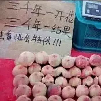 双11实体店广告语怎么写 这些广告语让门店业绩倍增(图2)