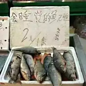 双11实体店广告语怎么写 这些广告语让门店业绩倍增(图4)