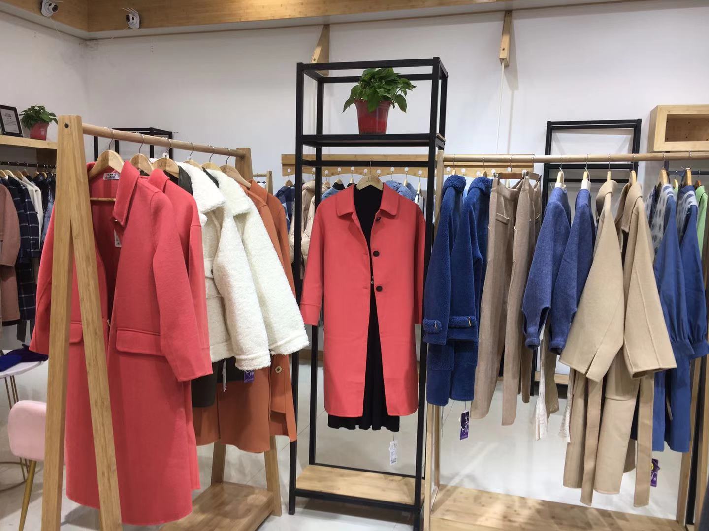 金蝶茜妮 金蝶茜妮