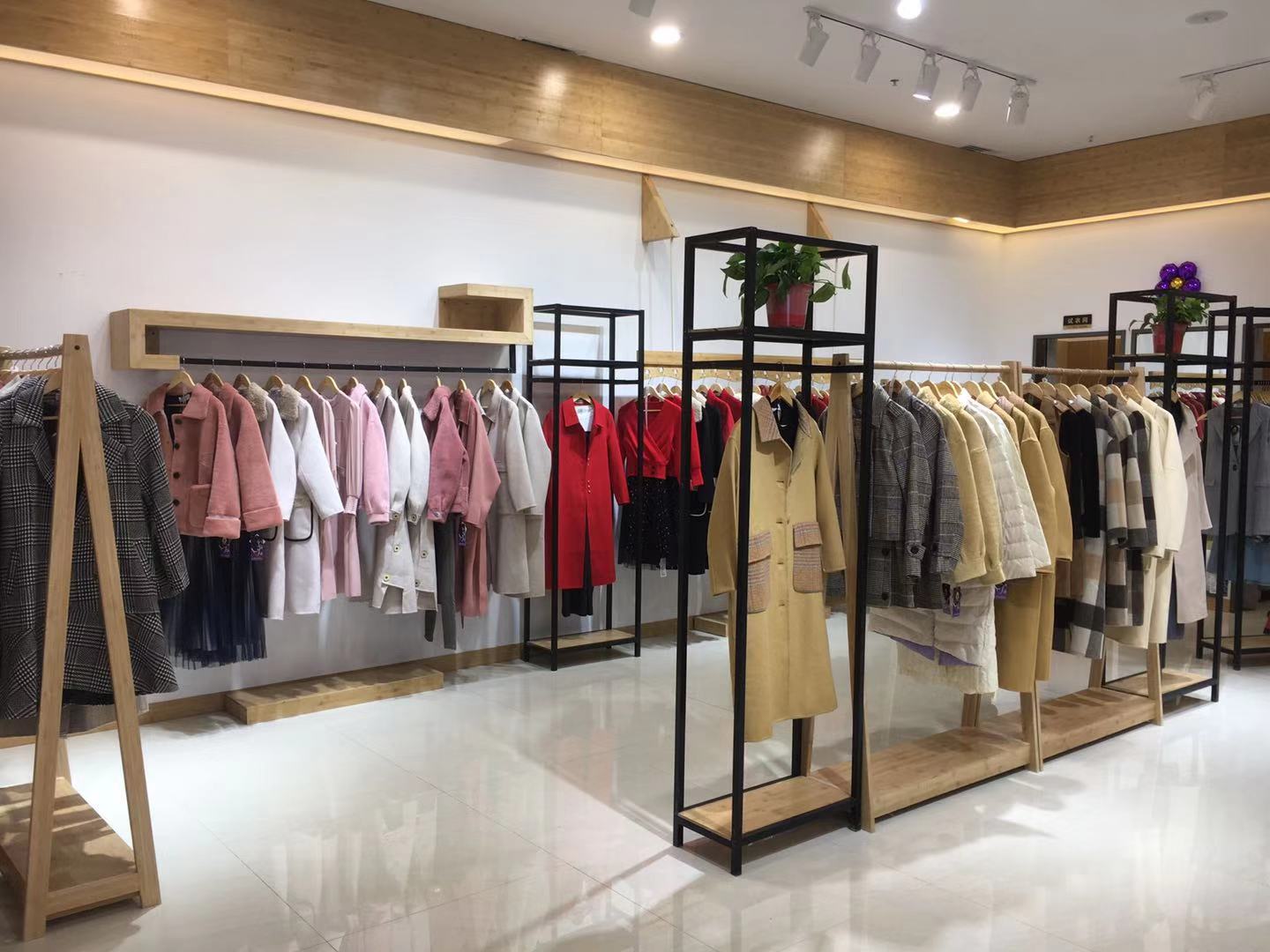 金蝶茜妮 金蝶茜妮